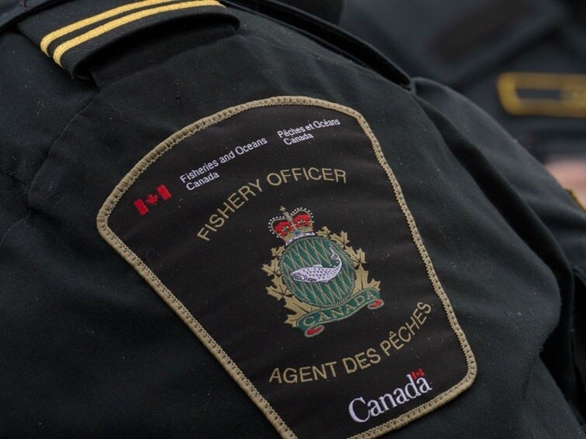 B.C. guide fined $12,000 for fishing violations off Haida Gwaii