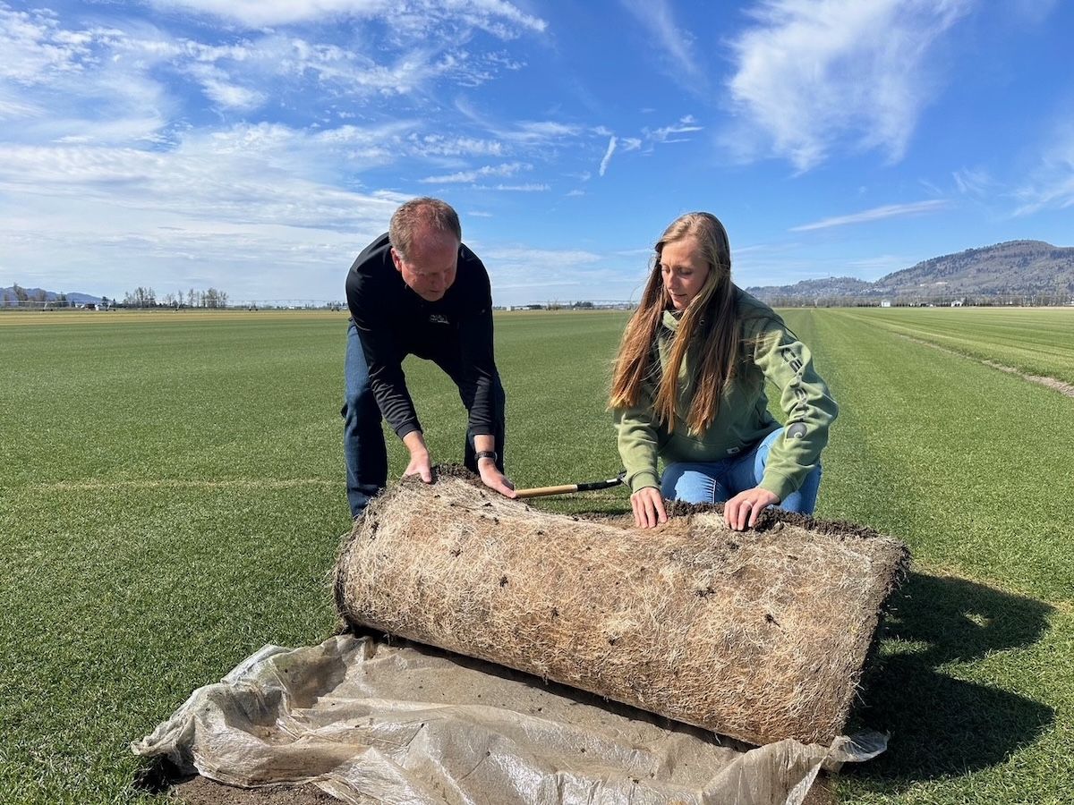 Field of dreams: The turf that will be B.C. Place's verdant, green World Cup centrepiece