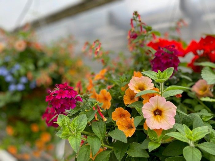 Brian Minter: Mother's Day gifts that will connect your mom to Mother Nature