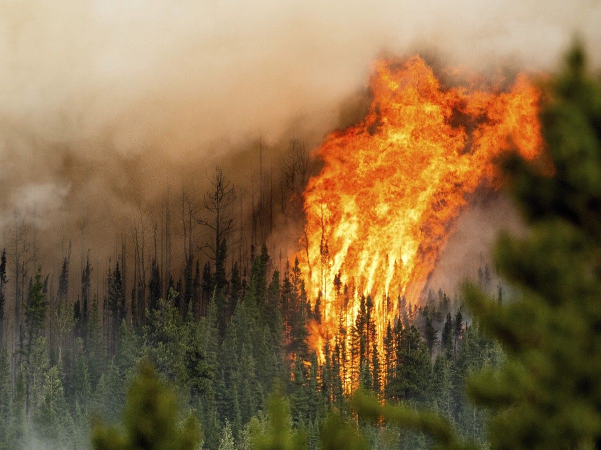 File photo of a B.C. wildfire. A B.C. company is hoping to help communities understand that risk months before fire season starts using an artificial intelligence model that draws from various data sources, including drone footage.