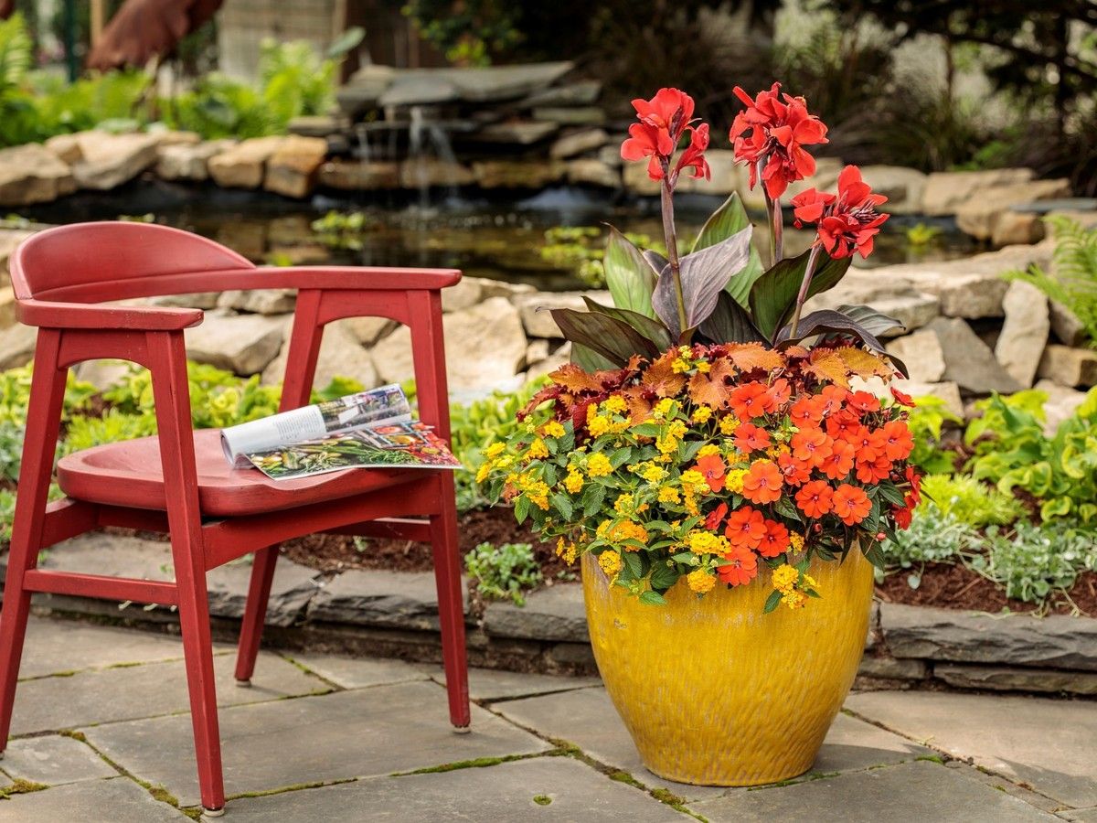 Brian Minter: Want a colourful garden? Here are the keys to success