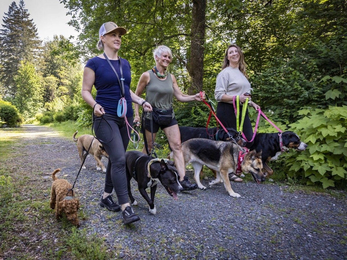  Erynn Tomlinson (from left), Louanne Macdonald and Angela Hauser take precautions to avoid ticks after finding several in their community near Cultus Lake.