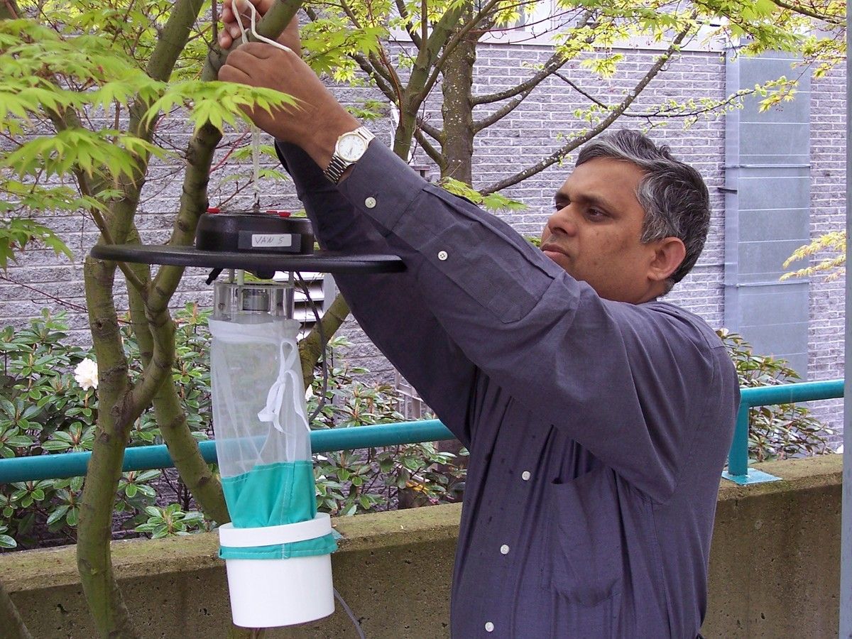  A photo from 2007 shows Disease Control Centre scientist Dr. Muhammad Morshed hanging a mosquito trap. 