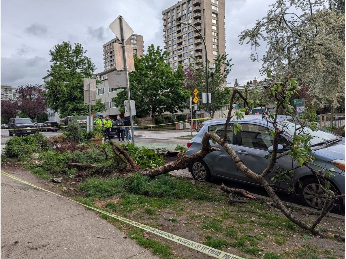 ramming incident