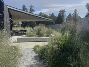 Landscape design by Andrew van Egmond of Designing Landscape.