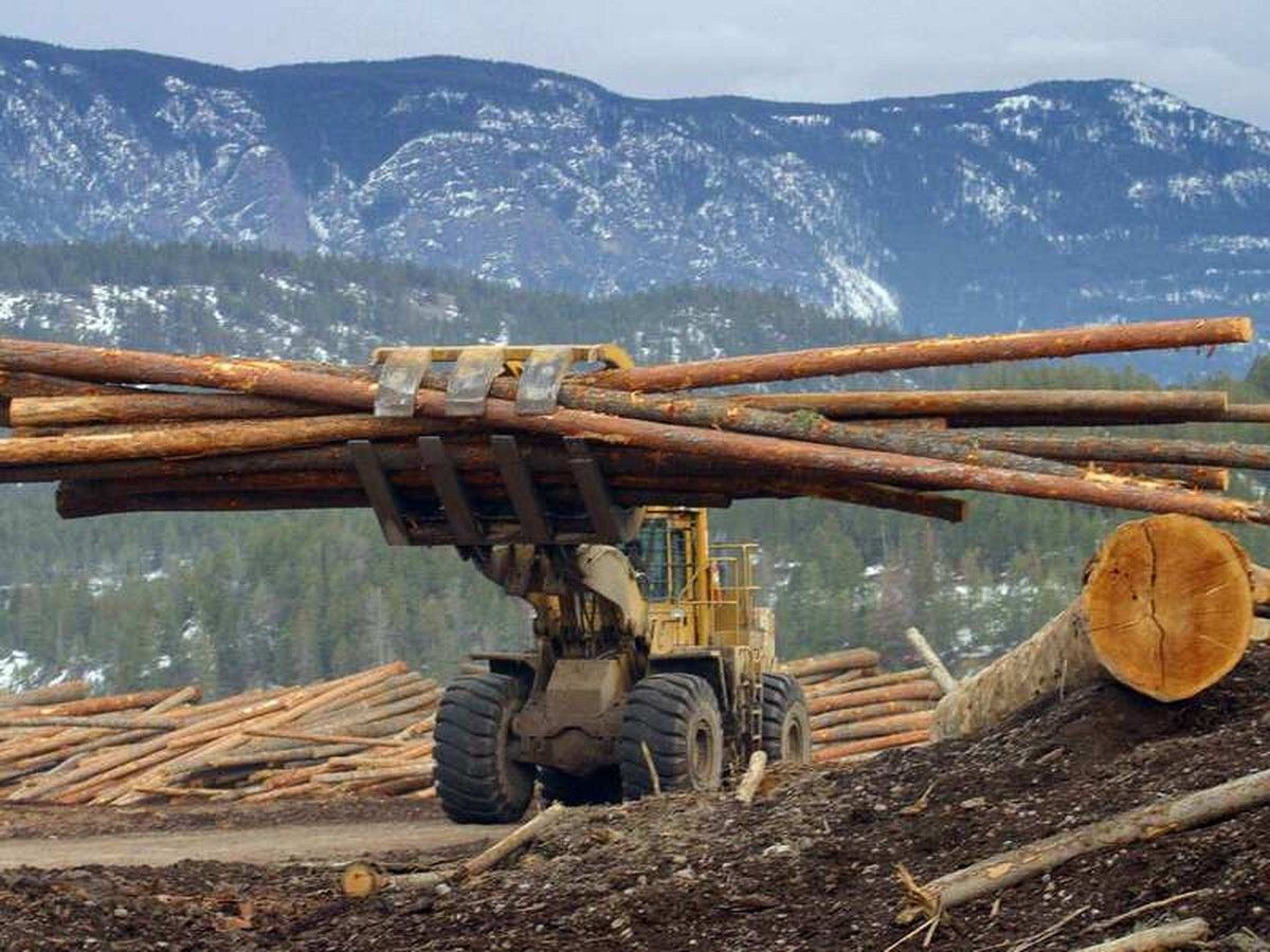 CUSMA review is B.C.'s best chance to resolve the softwood lumber dispute