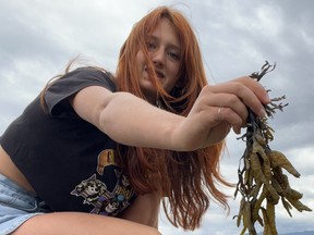 Ava