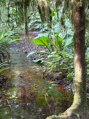 Minnekhada Regional Park
