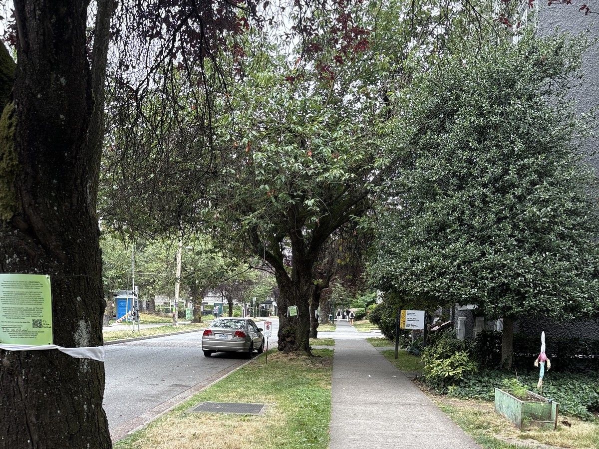  Nelson Park, between Nelson and Comox streets in Vancouver’s West End. (Carol Reardon)