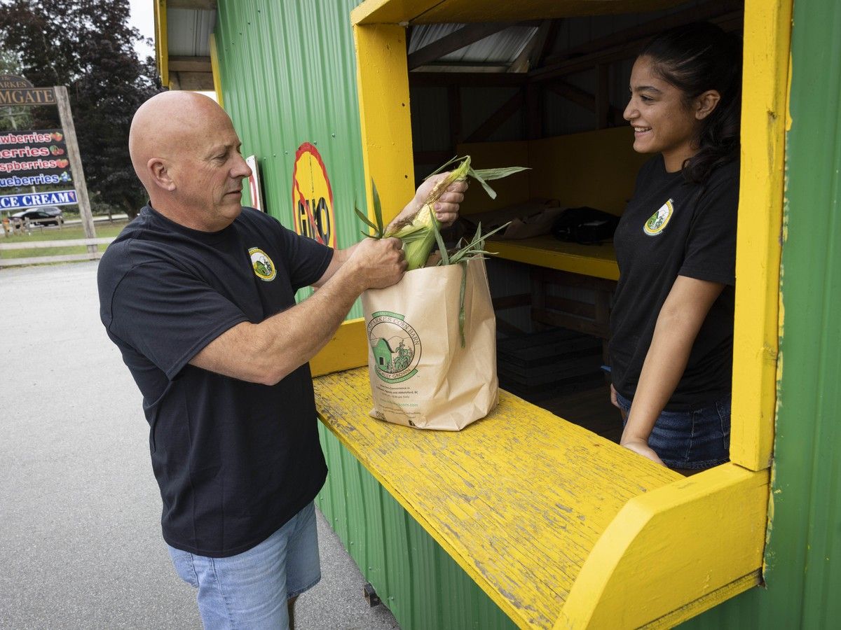 Owner Ian Sparkes employs almost two dozen young people to sell corn at roadside stands across the Fraser Valley and Metro Vancouver. Owner Ian Sparkes employs almost two dozen young people to sell corn at roadside stands across the Fraser Valley and Metro Vancouver.