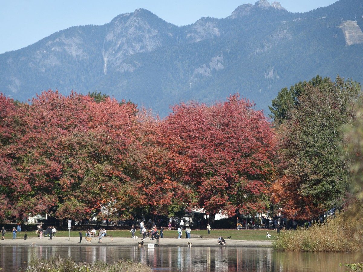 The City of Vancouver its considering allowing development in areas once deemed as 'view cones' throughout the city. Pictured is the view cone of the North Shore mountains from the south shore of Trout Lake. The City of Vancouver its considering allowing development in areas once deemed as 'view cones' throughout the city. Pictured is the view cone of the North Shore mountains from the south shore of Trout Lake.