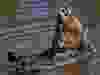 grinder