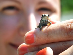 A woman holds a tiny toad.