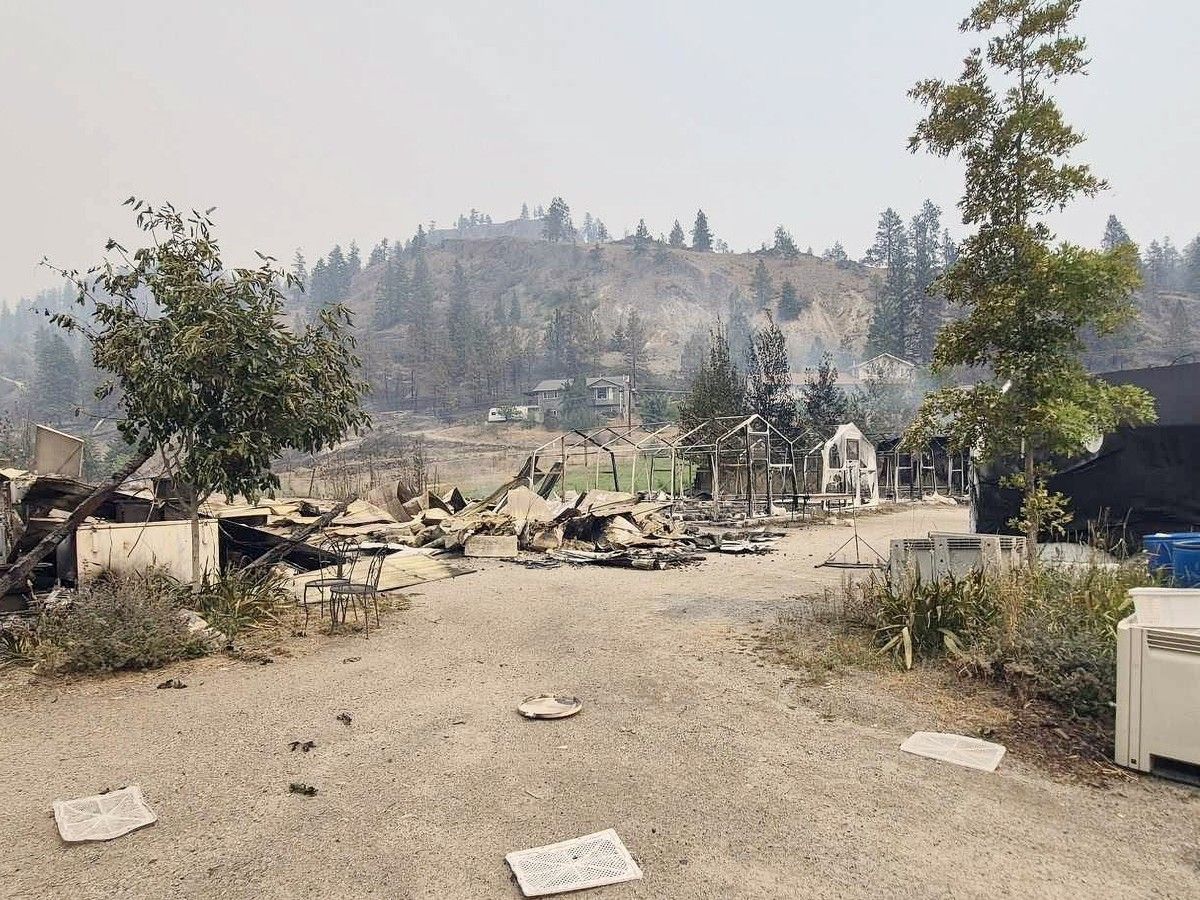 Little remains of What The Fungus mushroom farm after the Bald Range wildfire tore through. However, co-wner Brian Callows home nearby survived.