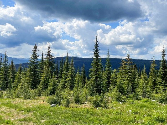 B.C. company starts approval process for new major mine northeast of Kamloops