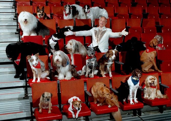 Herb Williams of the SuperDogs with some of his cast in seats at the Pacific Coliseum, 1990. Craig Hodge photo. 