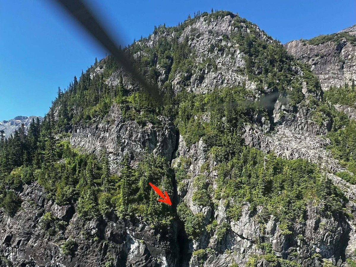  Keshav Jindal was found alive on Thursday after becoming separated from his group on Monday, August 3, 2026. In this photo, shared by Comox Valley Search & Rescue on social media, the hiker’s location in an area of very steep terrain is identified by a red arrow.
