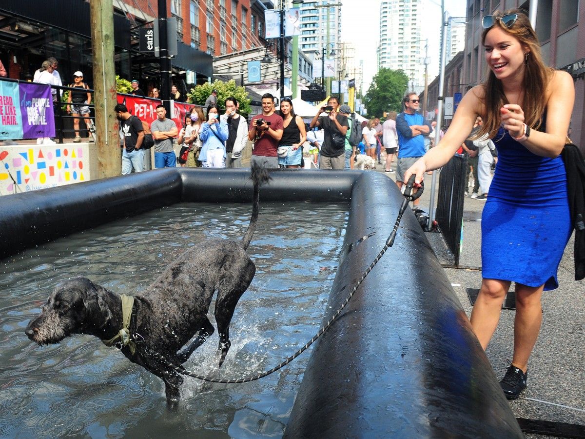 Sinar Molnar with her dog Iva in action at Pet-A-Polooza, enjoying the inflatable pool.