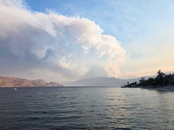 Anthony Gismondi: How the Summerland wildfire affected wineries — and what you can do about it