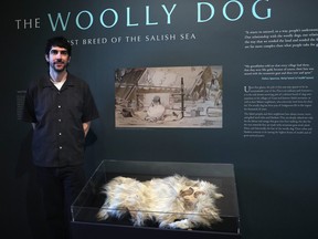 woolly