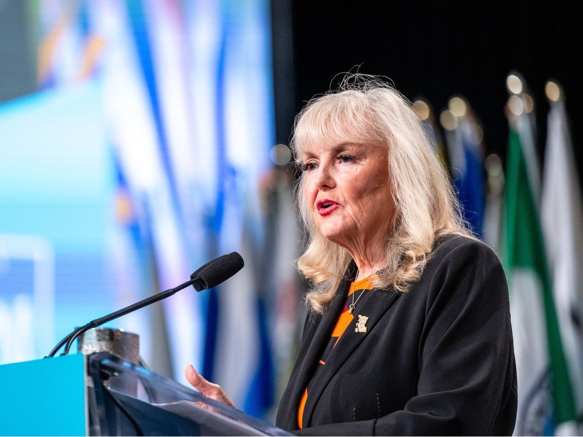 B.C. Conservatives accused of hiring private eye to spy on MLAs, journalist