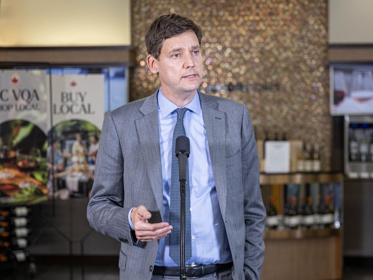 Money, candidates, message: The considerations and risks of David Eby calling a snap election in B.C.