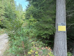 Grizzly bear warning