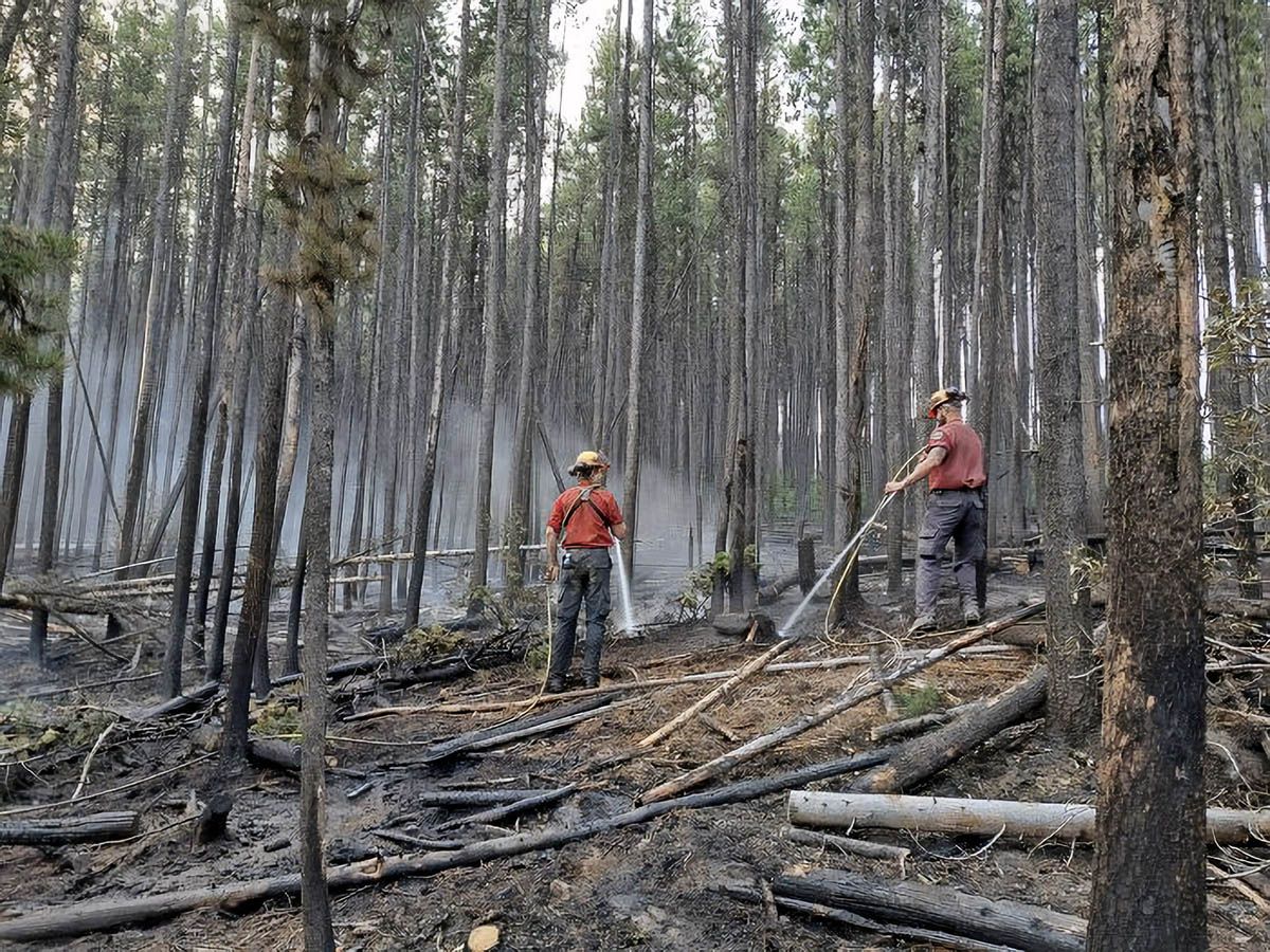 Arson suspect arrested after three fires in Squamish-Whistler area