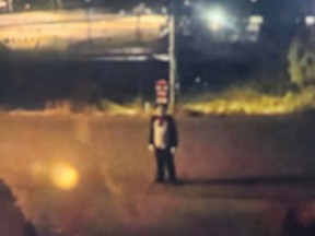 A blurry creepy security cam photo of a person in a Cat in the Hat costume.