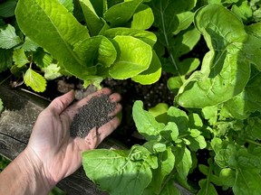 brian minter