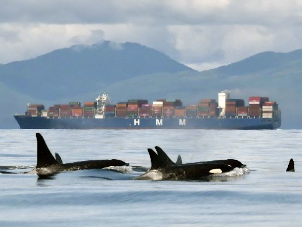 Opinion: Why Canada's new pipeline proposal threatens the Salish Sea