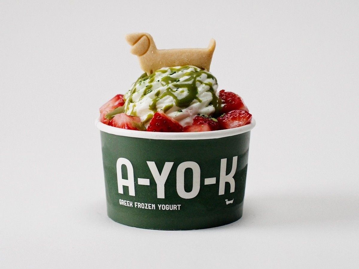 Aritzia has launched frozen yogurt at its A-OK Café locations.