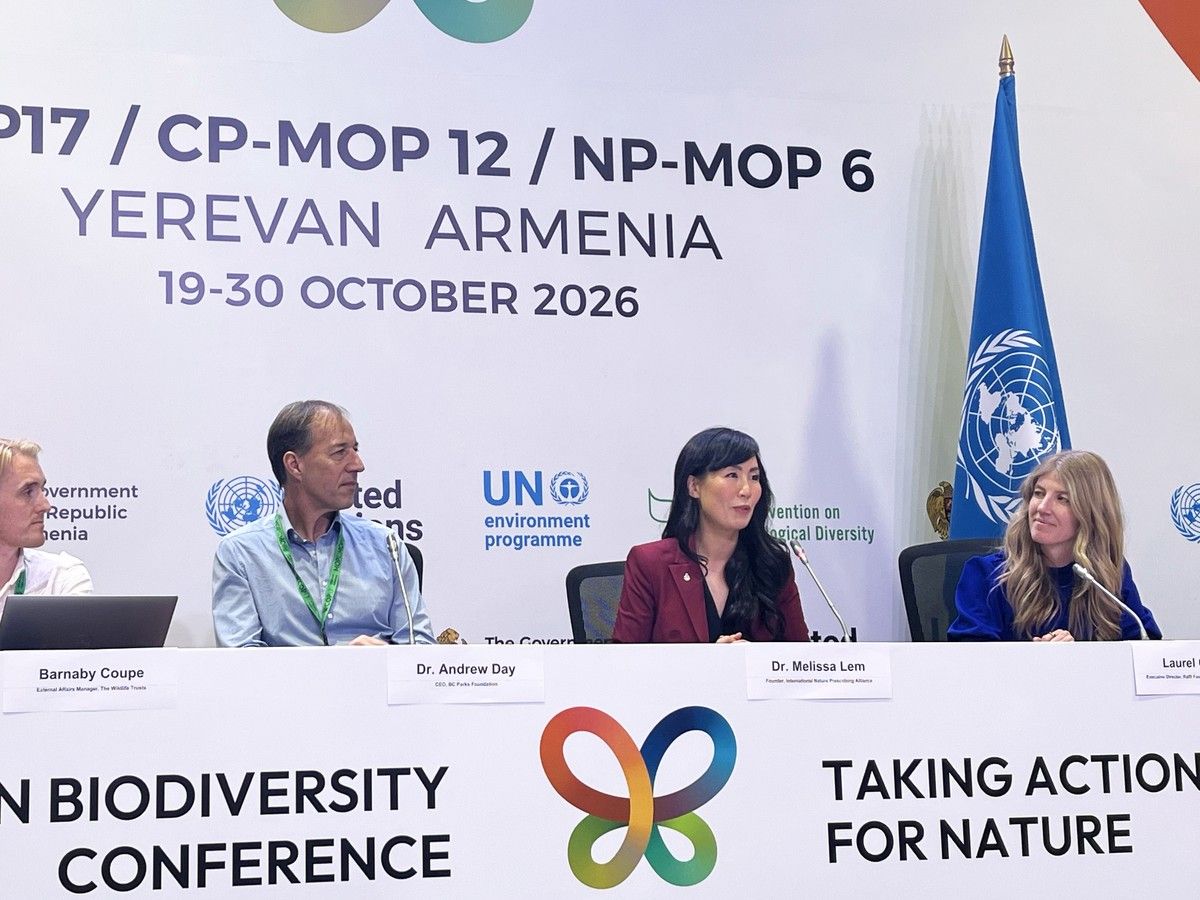 COP17