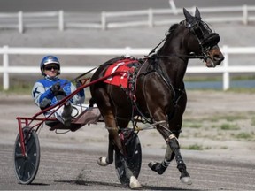 Scott Knight, 52, of Langley died during a harness racing accident in Osoyoos on Oct. 18, 2026.