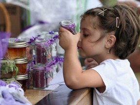 HARROW, ONT .: JULY 24, 2010 -Stella, 6, smells some salts made by Serenity Lavender during the Explore the Shore event in which various companies booths are set up along the Lake Erie shore on County Road 50.  (BEN NELMS/The Windsor Star)