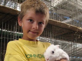 Eddie Rau, 8, entered his pet rabbit Buddy in the Harrow Fair on the weekend and much to his surprise won a second-place ribbon. (Windsor Star-Sharon Hill)