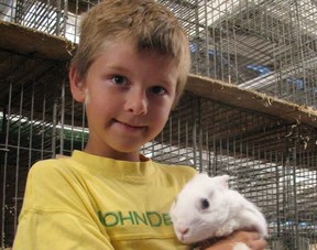 Eddie Rau, 8, entered his pet rabbit Buddy in the Harrow Fair on the weekend and much to his surprise won a second-place ribbon. (Windsor Star-Sharon Hill)