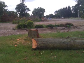 A read oak log awaits the arrival of The Beast.