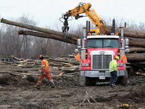 Tree removal work continues on Windsor Essex Parkway near Huron Church Road Tuesday December 20, 2011. (Photo By: Nick Brancaccio)