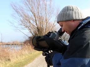 LEAMINGTON, ONT.:: Kory Renaud peers through his scope at a flock of seagulls floating in Hillman Marsh on Monday, Dec. 19, 2011. Renaud was among about 40 volunteers who turned out for the annual Christmas bird count hosted locally by Point Pelee National Park. (DYLAN KRISTY/The Windsor Star).