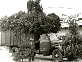 Nov.5/1956-This truckload of 300 Christmas trees arrived in Windsor during the weekend from Orono, 20 miles east of Oshawa. Clifford Young 4785 Howard Ave. stands holding a tree, while atop the load is his 23 year old son Morgan. Mr. Young says the trees will sell from $1.50 to $8.00 each. (The Windsor Star-File)