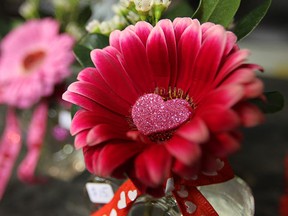 Flowers wait to be purchased at Oak Farms in Leamington on Monday, February 13, 2012. Valentines Day is rivalled only by Mother's Day for the busiest day for the shop. (TYLER BROWNBRIDGE / The Windsor Star)
