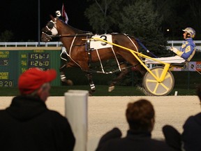 A harness racing team at Windsor Raceway is seen in this 2010 file photo.