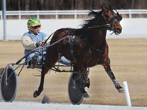 A harness racing team trains at Windsor Raceway on March 14, 2012.
