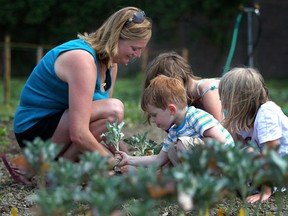 In this file photo, Heather Goslin, left, plants broccoli with her children, Matthew, 3, Sarah, 7, right, and Kaitlin, 9. (Dax Melmer/The Windsor Star)