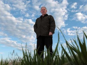 AMHERSTBURG, ONT. -- David Gibson stands in a field of grass near Front Road South in Amherstburg, Ont. on Monday, April 2, 2012, near the spot where he spotted what may have been a cougar. (JASON KRYK/The Windsor Star).