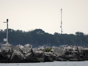 The breakwall at Leamington Marina is seen in this June 2011 file photo. (Tyler Brownbridge / The Windsor Star)