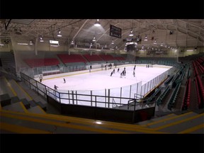 A screen grab of a video piece on Windsor Arena, uploaded to YouTube by Sportsnet.