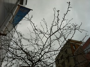 A cold sky in downtown Windsor, Ont. on April 10, 2012. (Dalson Chen / The Windsor Star)