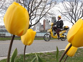 An e-biker cruises Windsor's downtown riverfront on April 9, 2012. (Dan Janisse / The Windsor Star)